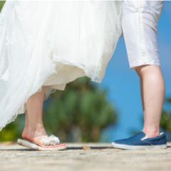 あみきらサウルス