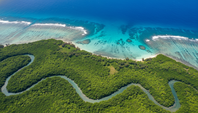 【2026年夏休み】奄美大島エコツアー子連れにおすすめ！早期予約必須の宿5選