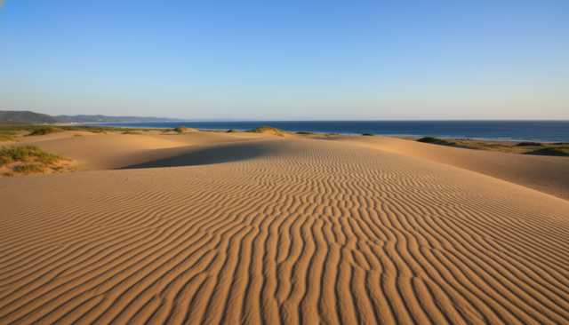 【2026年春休み】鳥取砂丘でサステナブル旅行！子連れにおすすめのエコホテル5選